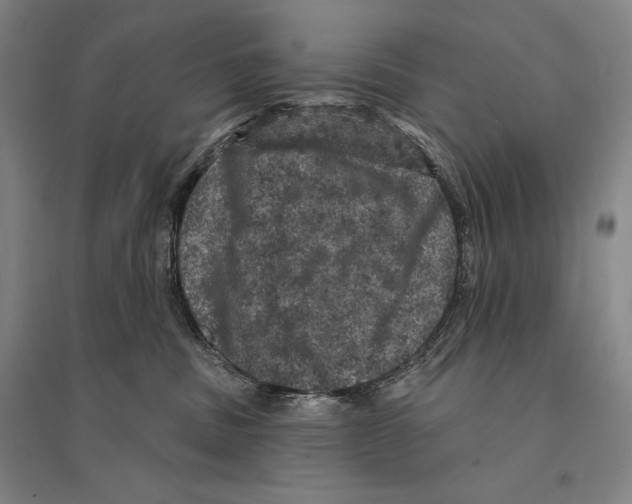 X0000095510379200801111418