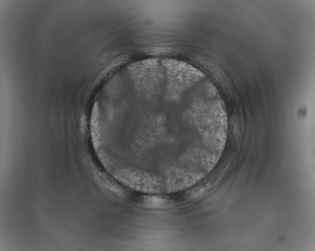 X0000095510380200801111418