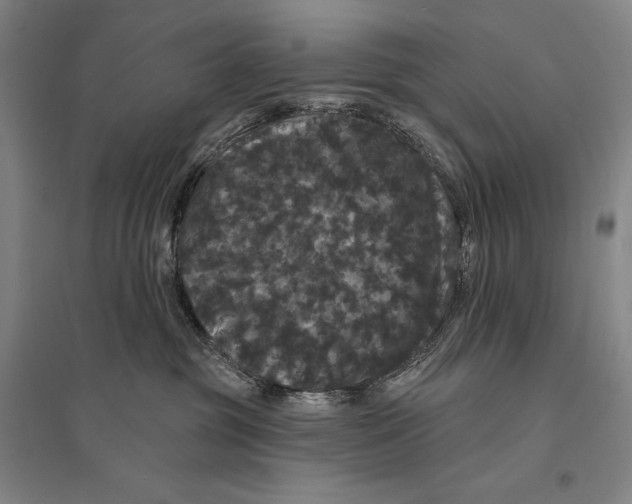 X0000095510381200801111418