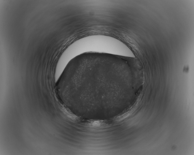 X0000095510382200801111418