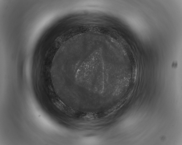 X0000095510383200801111418
