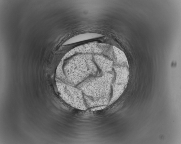 X0000095510384200801111418