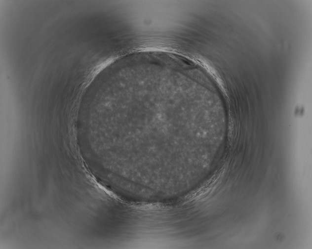 X0000095510385200801111418