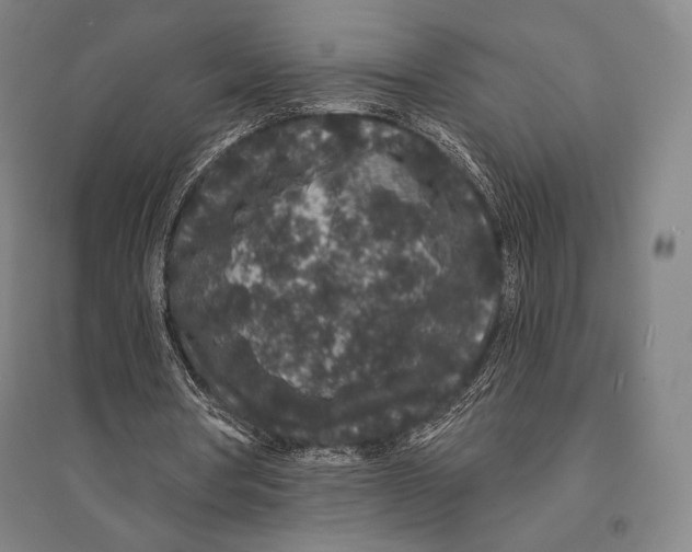 X0000095510386200801111418