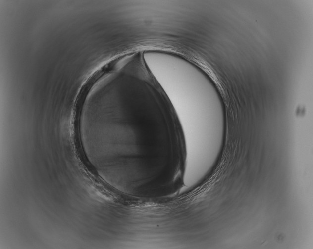X0000095510387200801111418