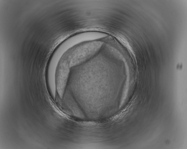X0000095510389200801111418