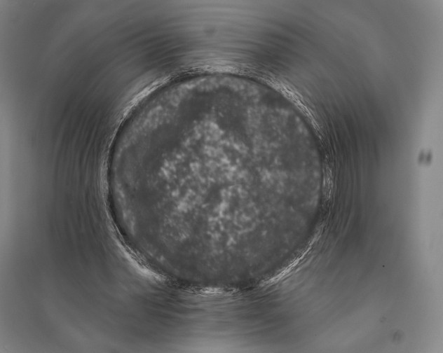 X0000095510390200801111418