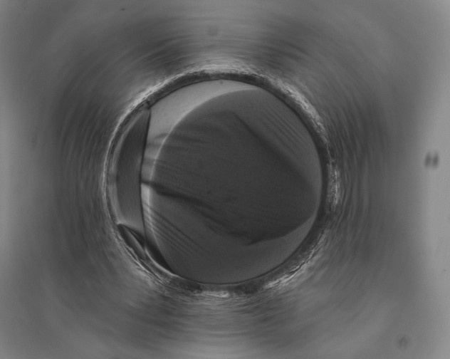 X0000095510391200801111418