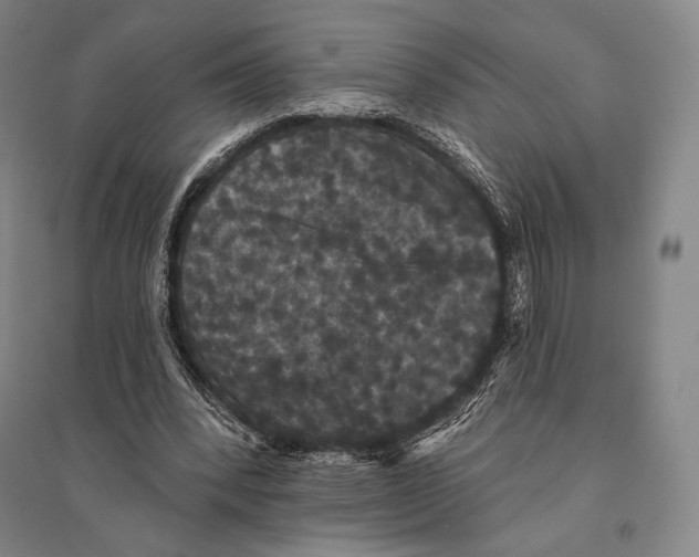 X0000095510392200801111418