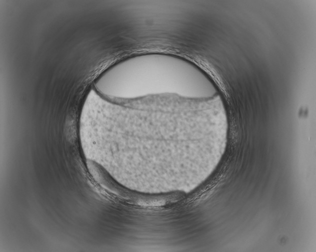 X0000095510393200801111418