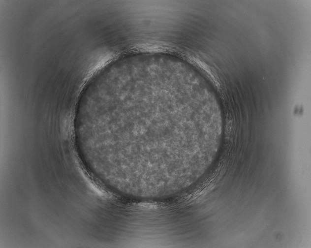 X0000095510394200801111418
