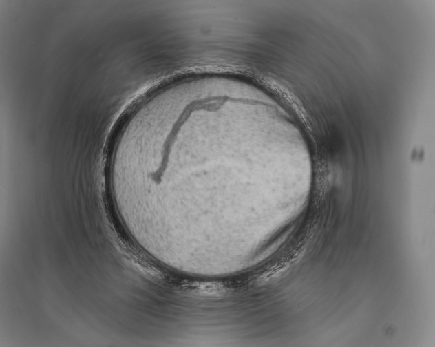 X0000095510395200801111418