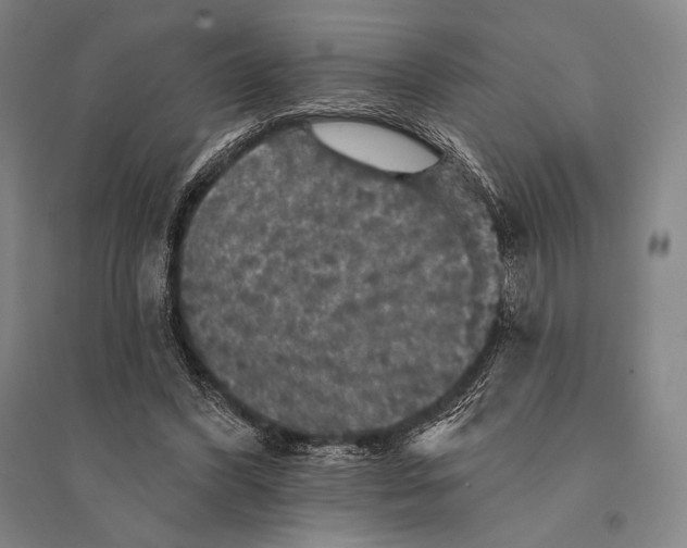 X0000095510396200801111418