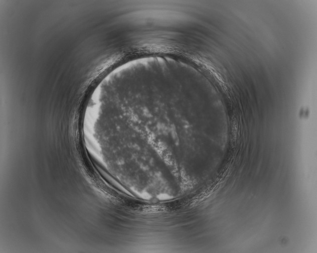 X0000095510398200801111418