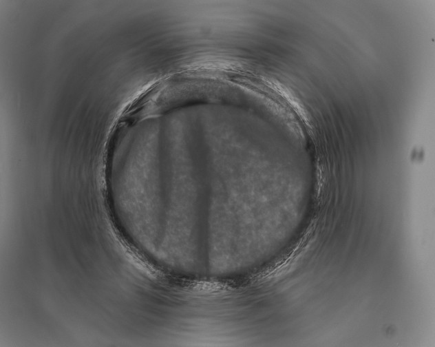 X0000095510399200801111418