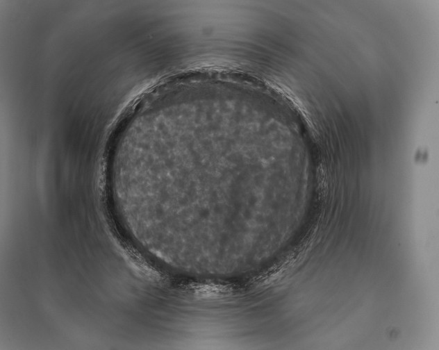 X0000095510400200801111418