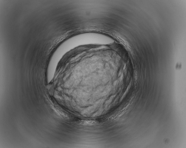 X0000095510401200801111418