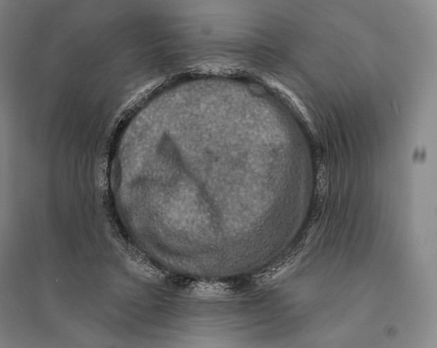 X0000095510403200801111418