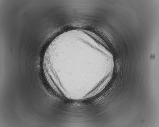 X0000095510404200801111418