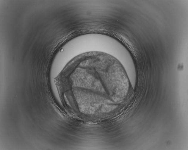 X0000095510405200801111418