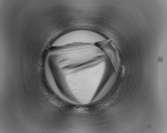 X0000095510407200801111418