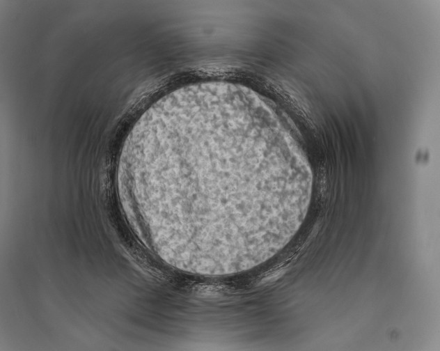 X0000095510408200801111417