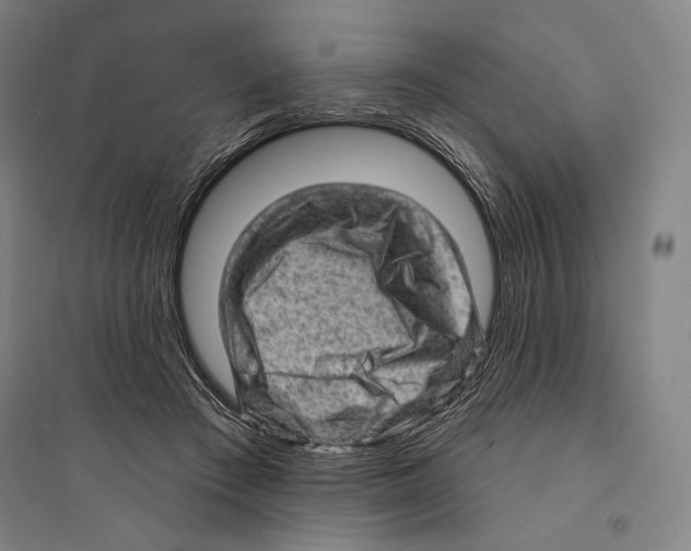 X0000095510409200801111417