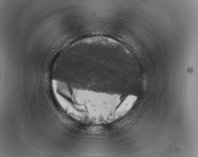 X0000095510410200801111417