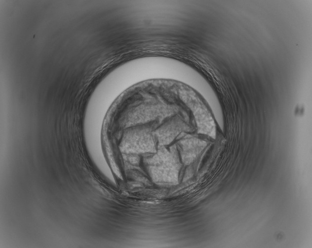 X0000095510411200801111417