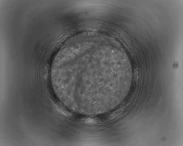 X0000095510412200801111417