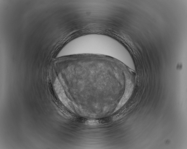 X0000095510413200801111417