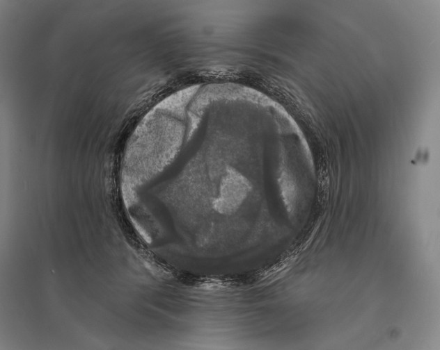 X0000095510416200801111417