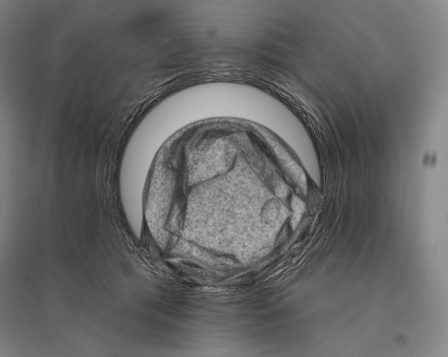 X0000095510417200801111417