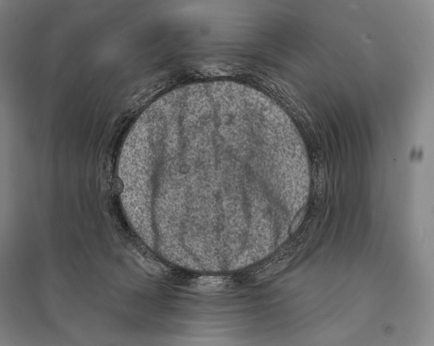 X0000095510418200801111417