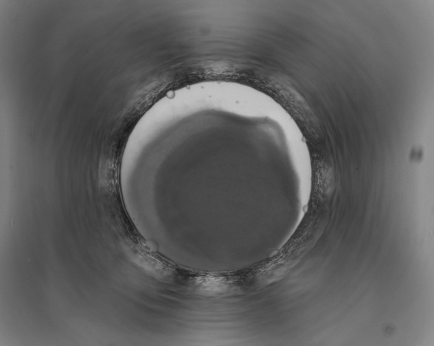 X0000095510419200801111417