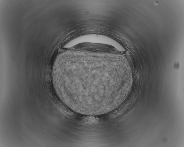 X0000095510421200801111417