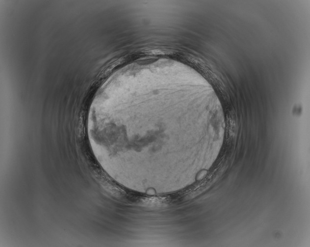 X0000095510422200801111417