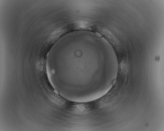 X0000095510423200801111417