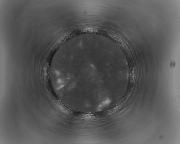 X0000095510424200801111417