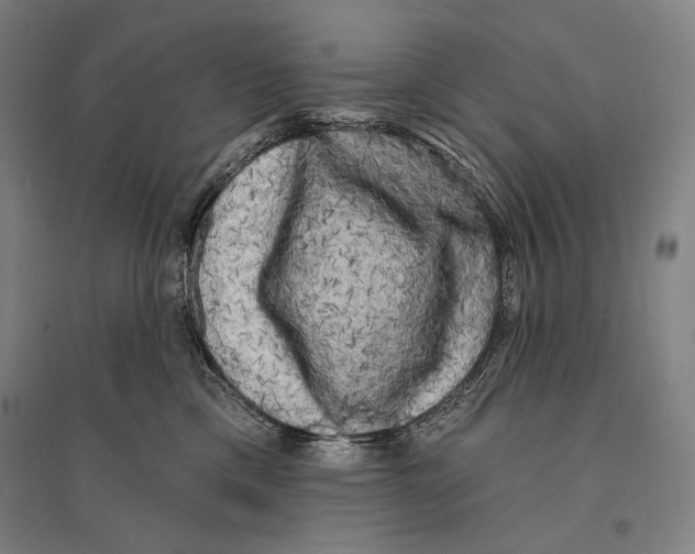 X0000095510425200801111417