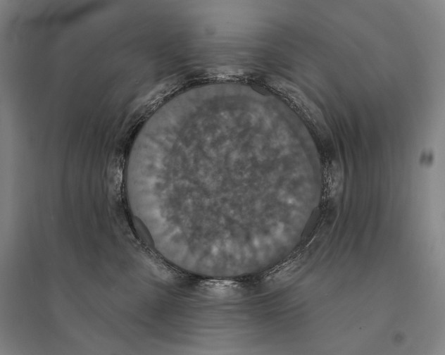 X0000095510427200801111417