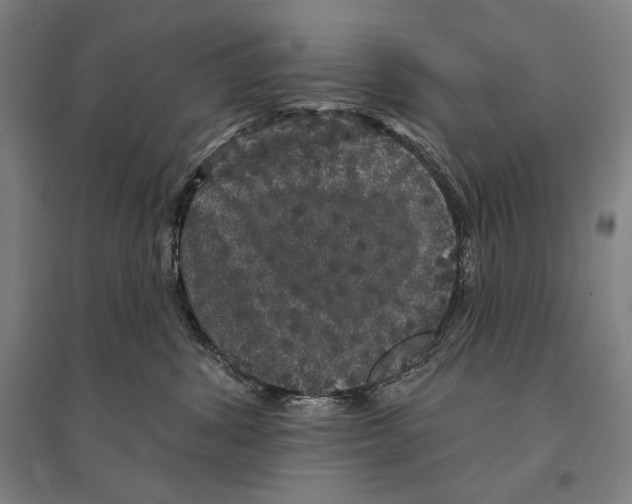 X0000095510428200801111417