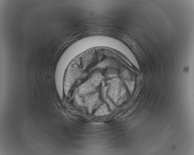 X0000095510429200801111417