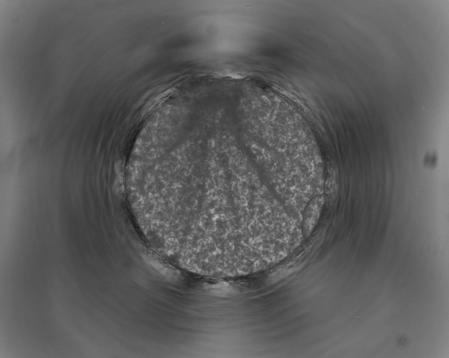 X0000095510430200801111417