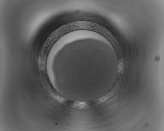 X0000095510431200801111417