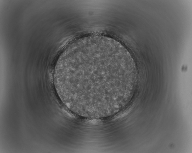 X0000095510432200801111417