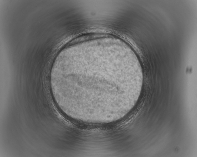 X0000095510433200801111416
