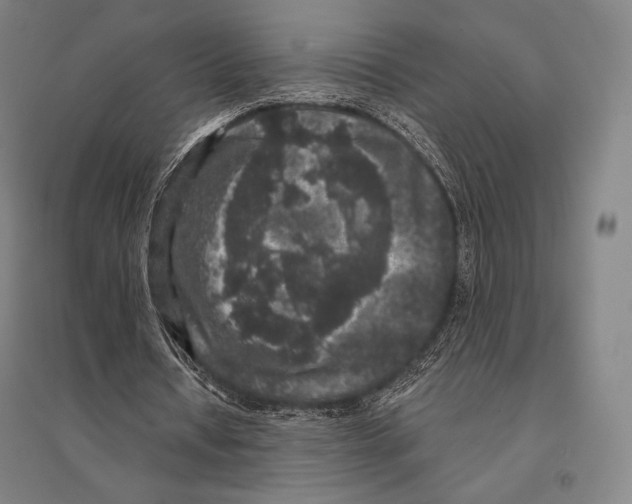X0000095510434200801111416