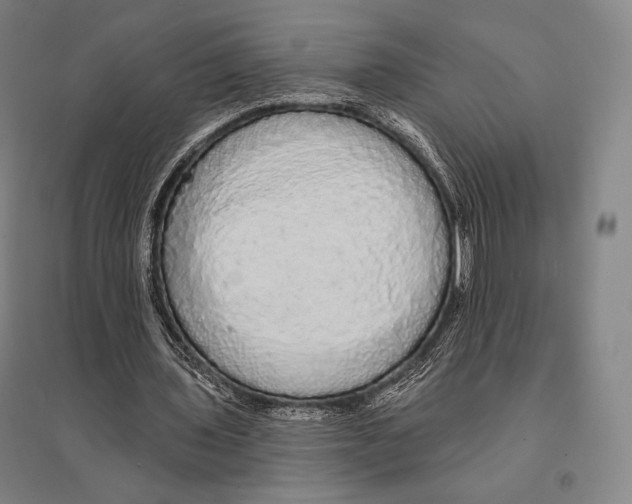 X0000095510435200801111416
