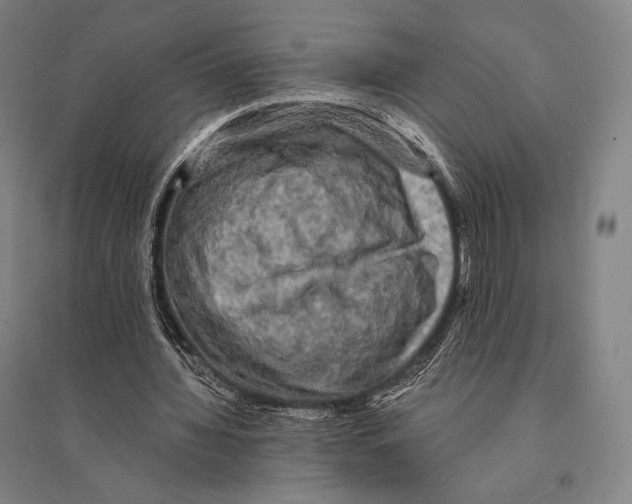 X0000095510436200801111416